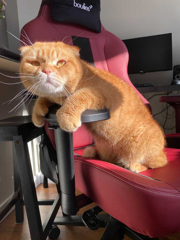 Tall heavy duty gaming chair