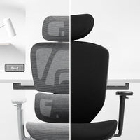 Boulies Chairs EP vs. OP Series