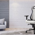 Back Support for Office Chairs